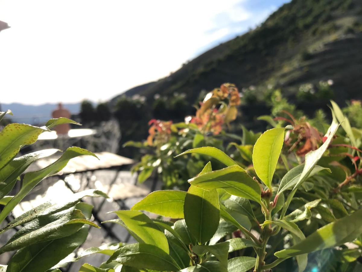 Borgo Manca Suite Sasso di Castalda Dış mekan fotoğraf
