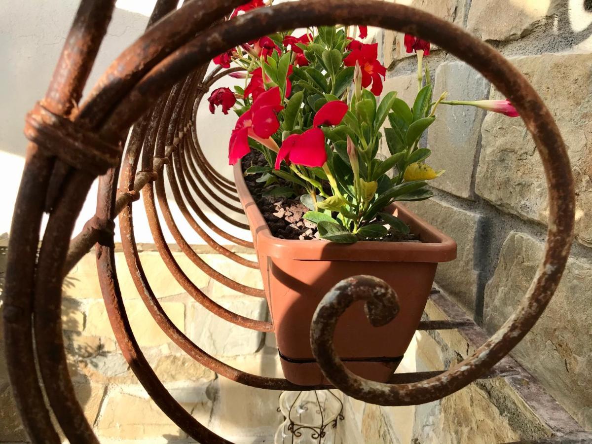 Borgo Manca Suite Sasso di Castalda Dış mekan fotoğraf